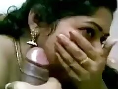 blowjob-cock sucking-desi-shy