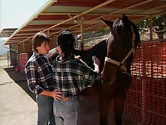 sex-american-anal-ass licking