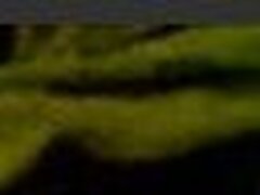 cams-caught-neighbor-wife